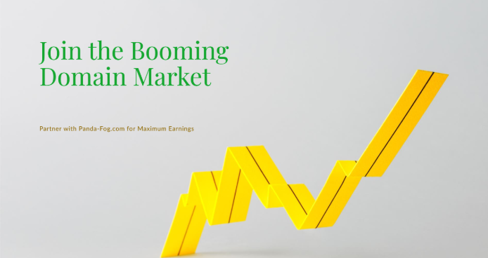 The Growing Domain Market: