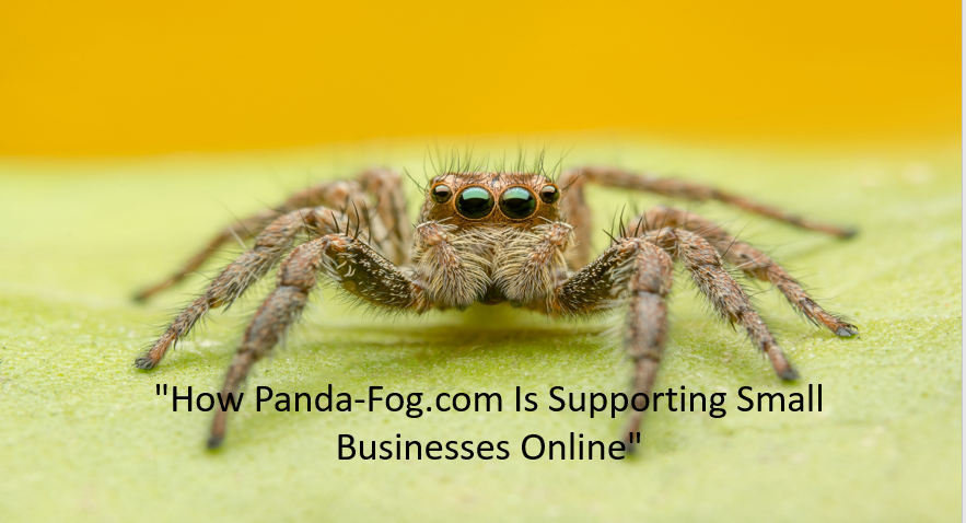 "How Panda-Fog.com Is Supporting Small Businesses Online"